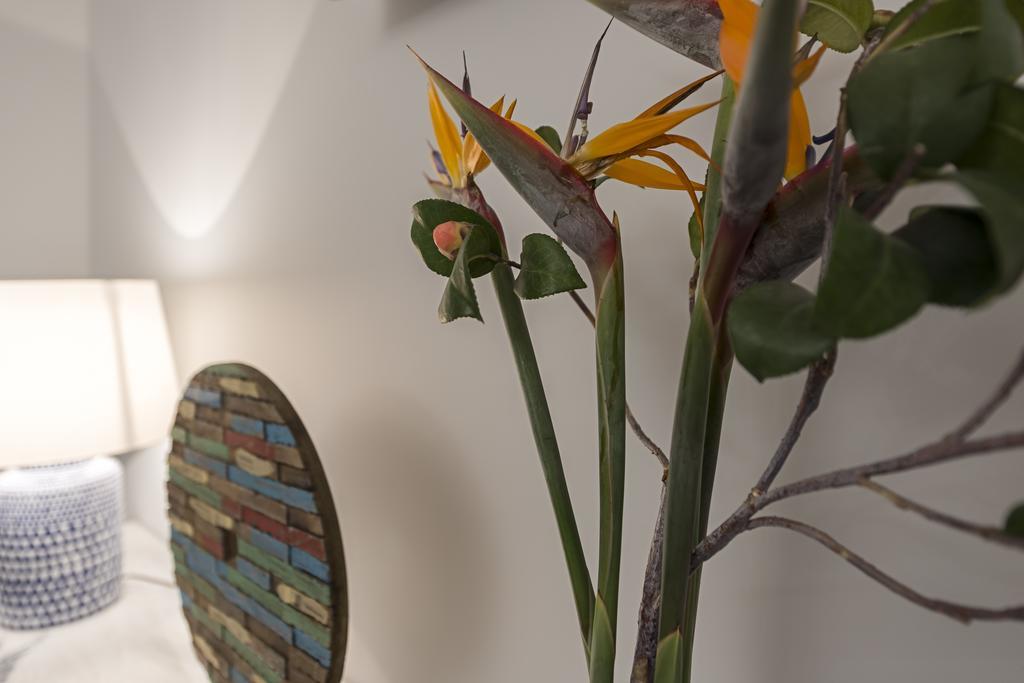 Belvedere Boutique - Adults Only Funchal (Madeira)